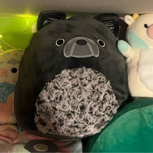 12 inch valentines rose bulldog squishmallow NWT